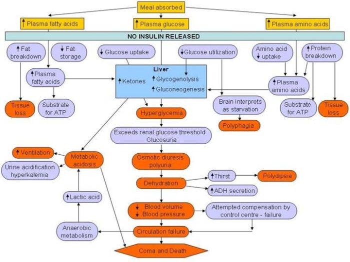 Map diabetes concept type mellitus