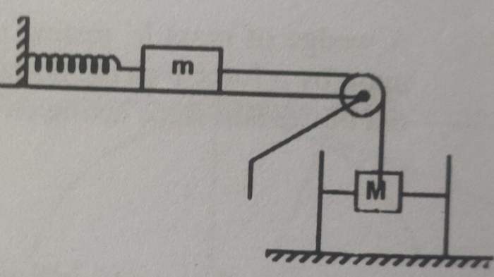 Ap physics 1 simple harmonic motion mcq