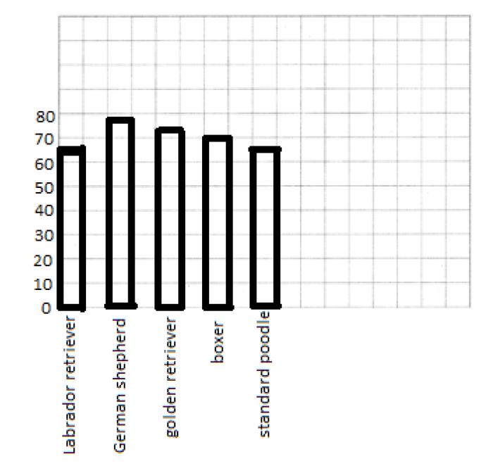 Faceing math lesson 5 answer key