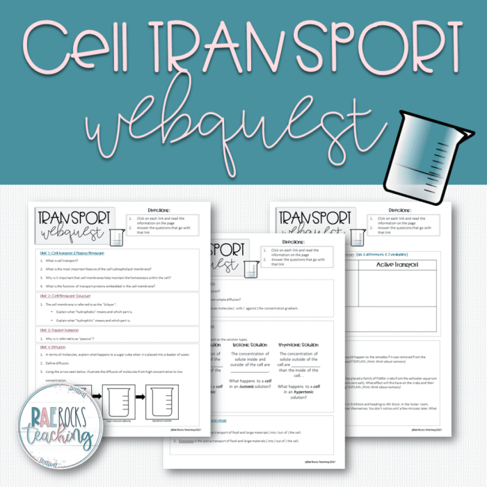 Cell transport webquest answer key