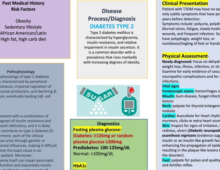 Diabetes mellitus type 2 concept map