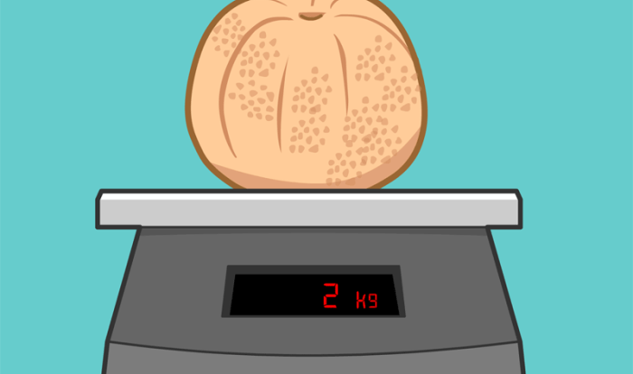 Brainpop jr grams and kilograms