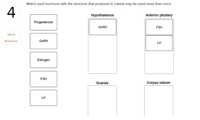 Match each hormone with its effect on pregnancy