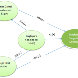 Hr effectiveness department partner value business auditing part creator practice transformation rbl